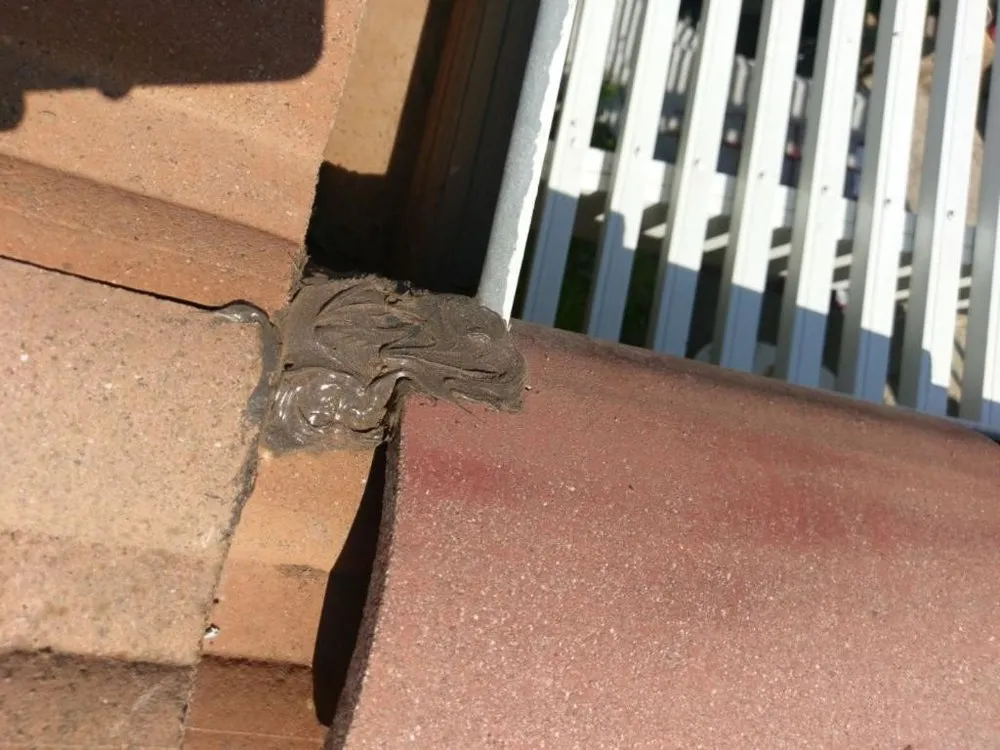 Slide of A&L Roofing Repairs & Cleaning