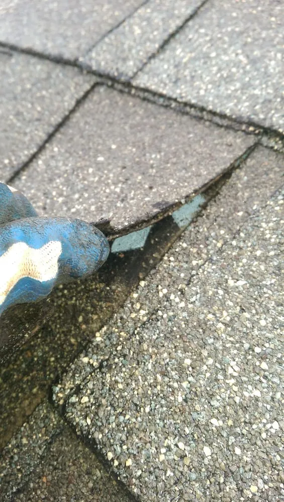 Slide of A&L Roofing Repairs & Cleaning