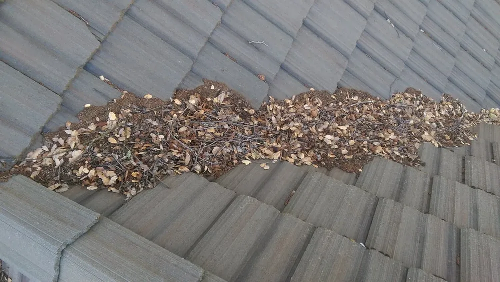 Slide of A&L Roofing Repairs & Cleaning