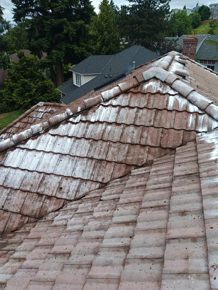 Slide of Alan’s Roof Cleaning & Repair