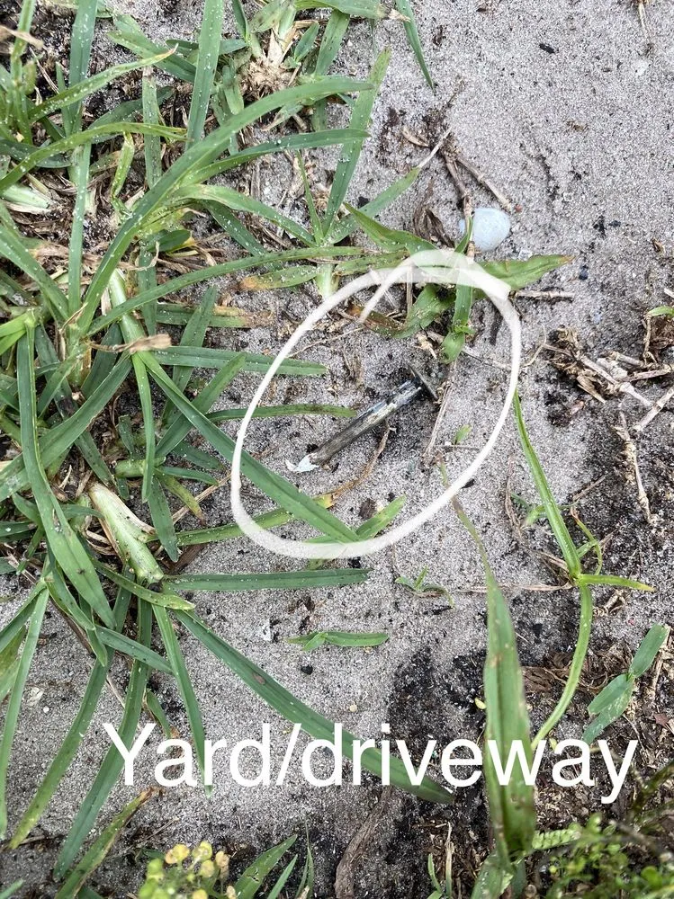 Slide of Alan's Roofing