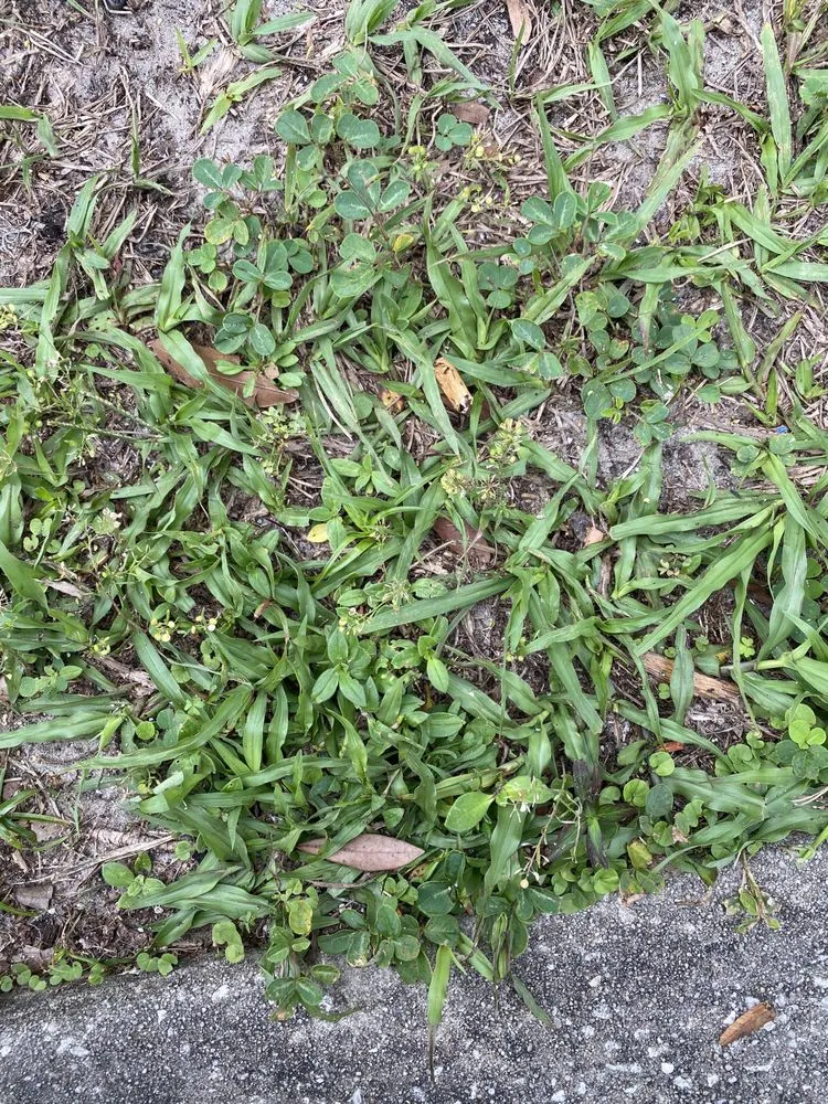 Slide of Alan's Roofing