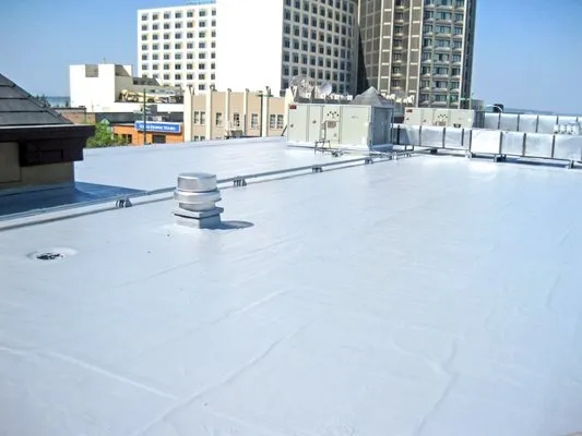 Alaska Roof Restorations Logo