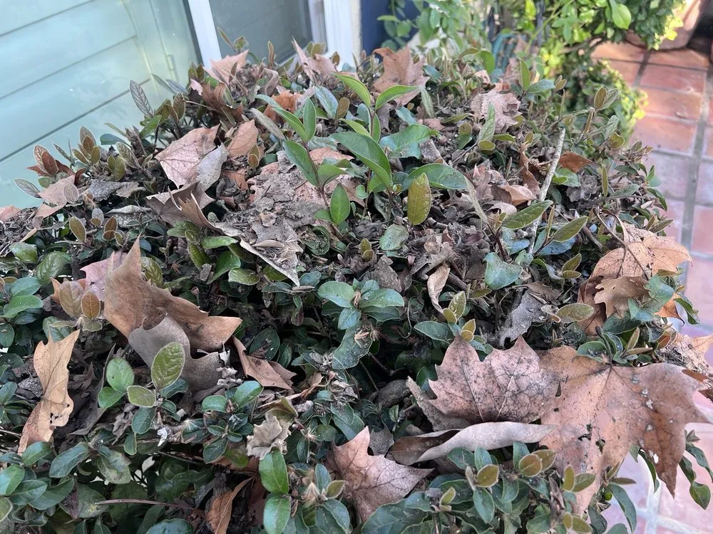 Slide of Albas Roofing