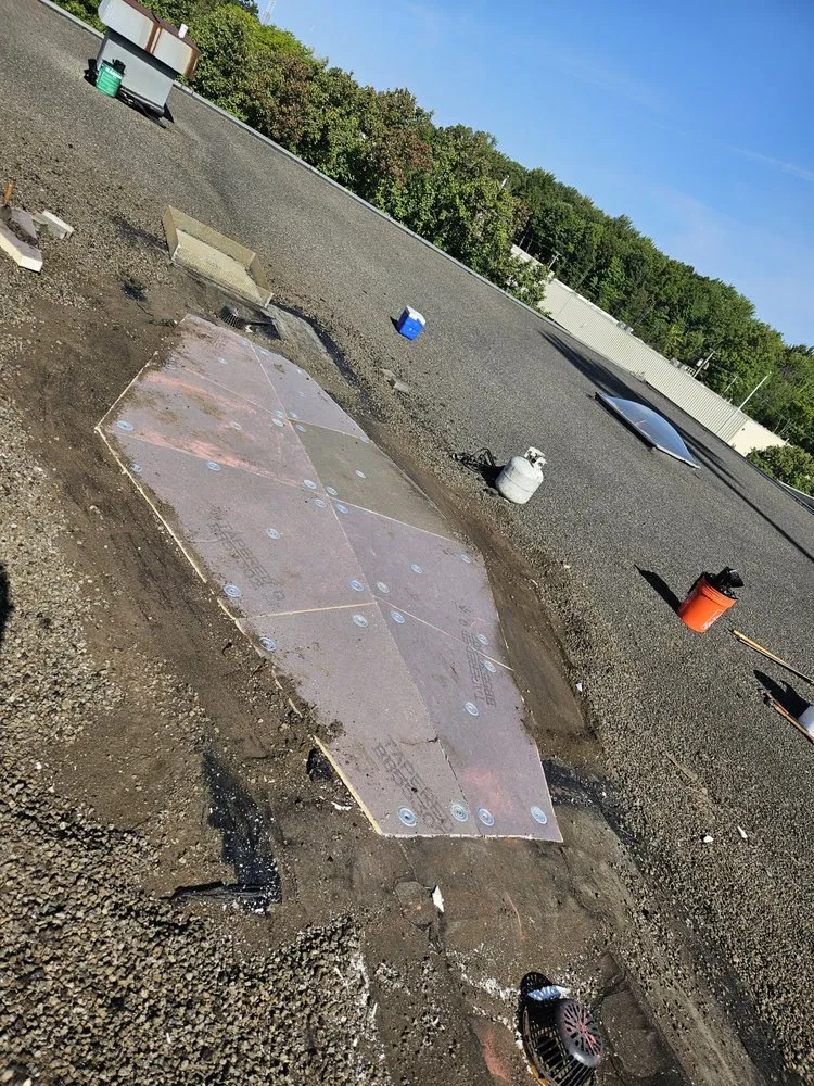 Slide of Albatross Roofing Specialists