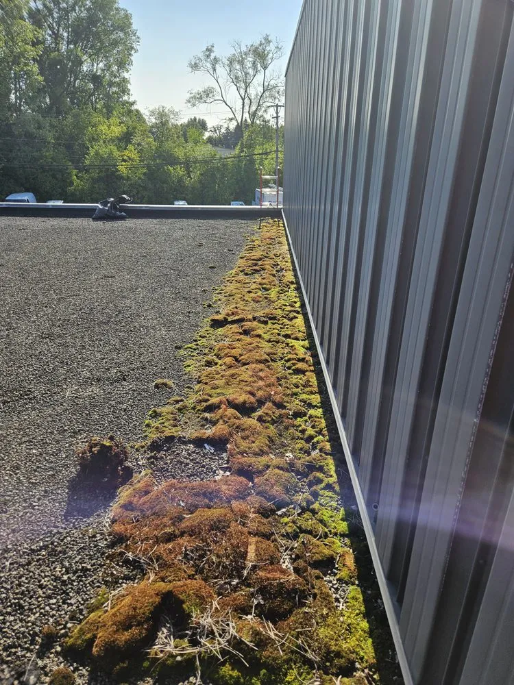 Slide of Albatross Roofing Specialists