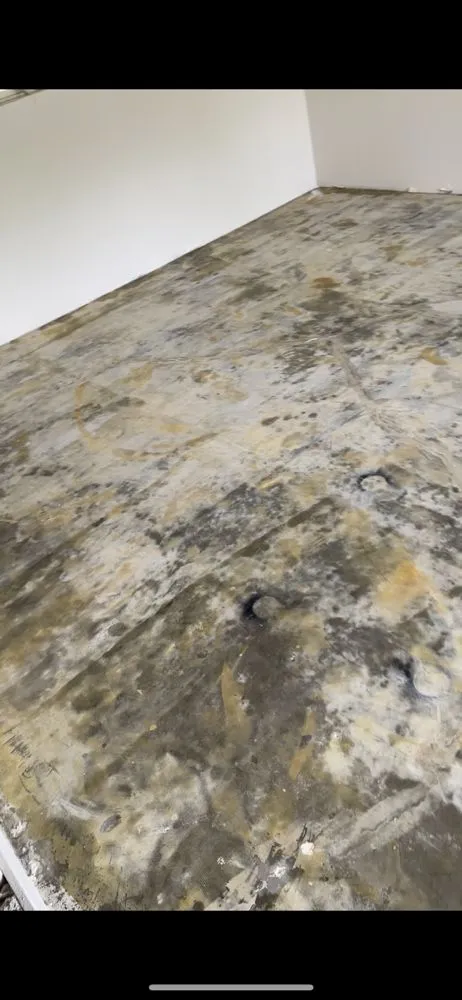 Slide of Albertos flooring and roof