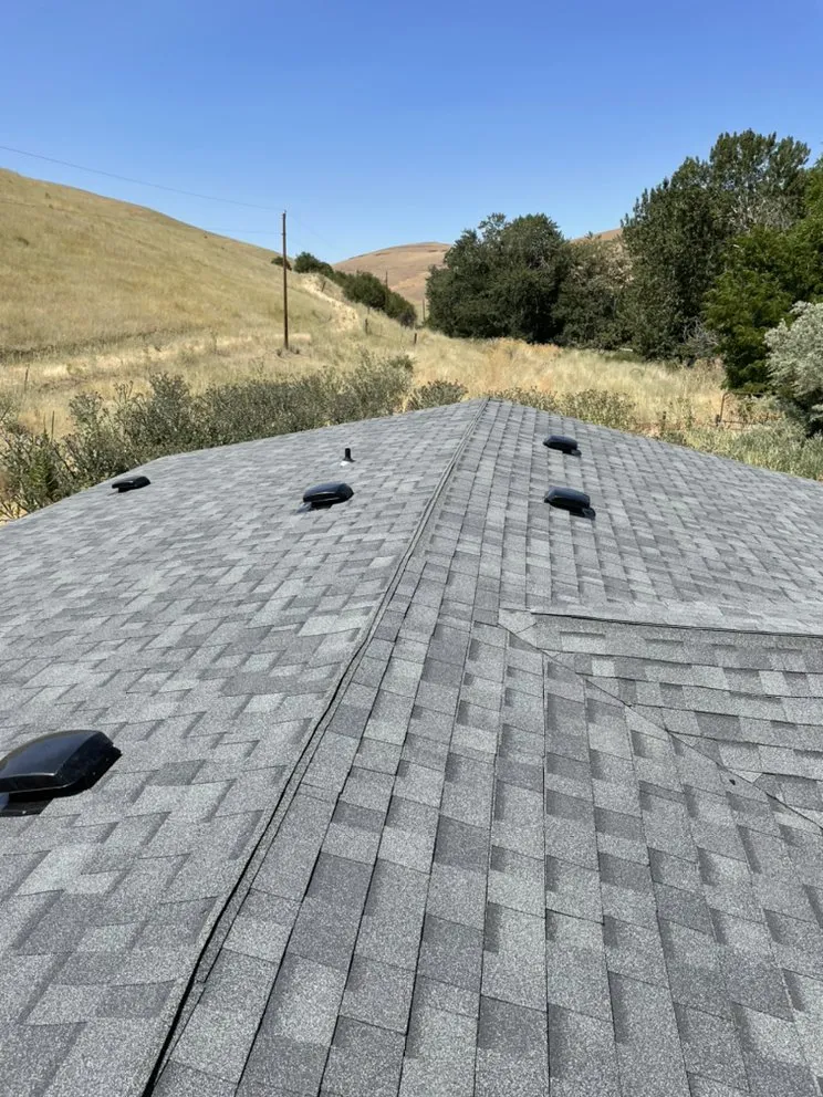 Slide of Albertos flooring and roof