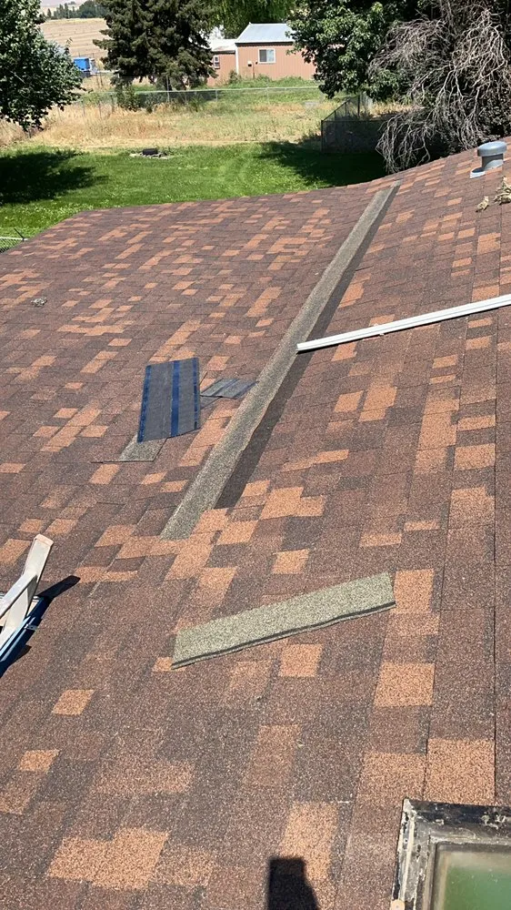 Slide of Albertos flooring and roof