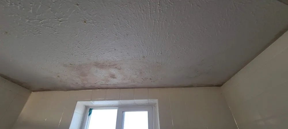 Slide of Alcon Contracting