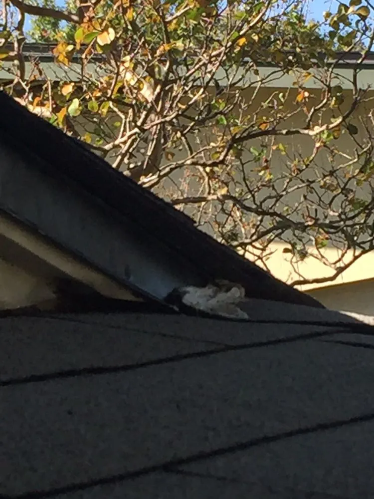 Slide of Alden Roofing