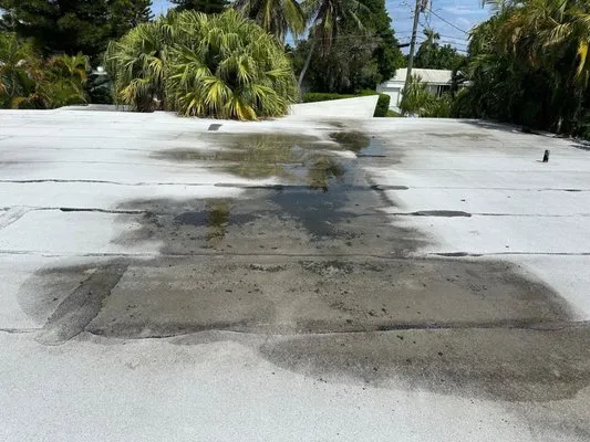 Alego Contractors Logo