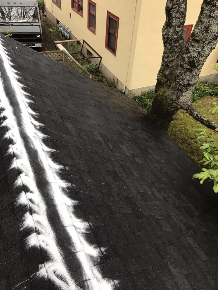 Slide of Aleksay's Power Cleaning