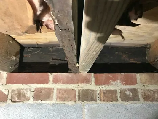 Alert Construction Logo