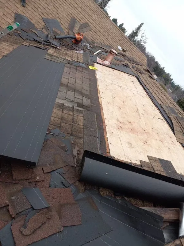 Slide of Alex Gutter & Roof