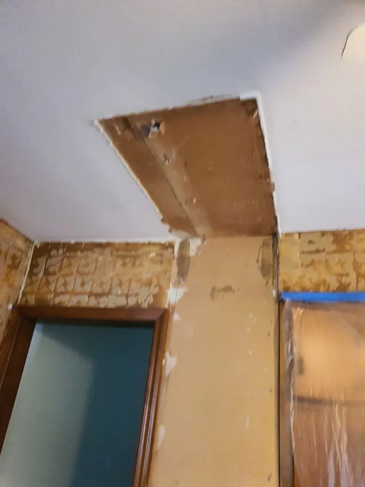 Slide of Alex Painting