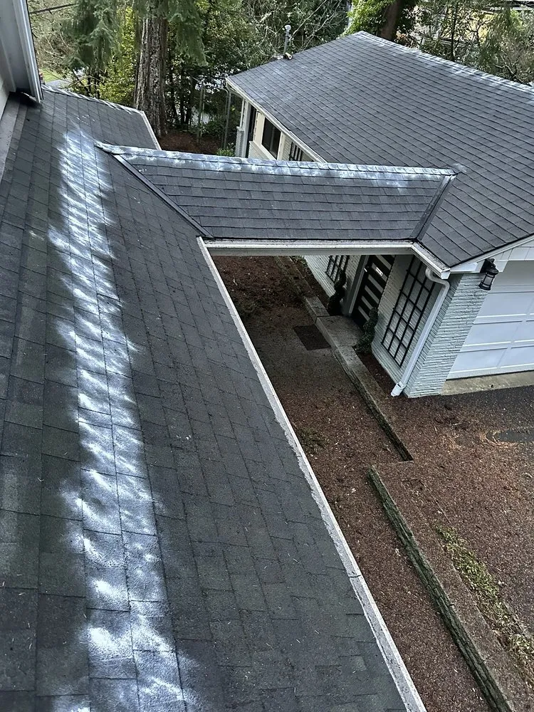 Slide of Alex Remodeling