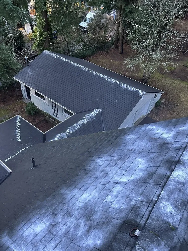 Slide of Alex Remodeling