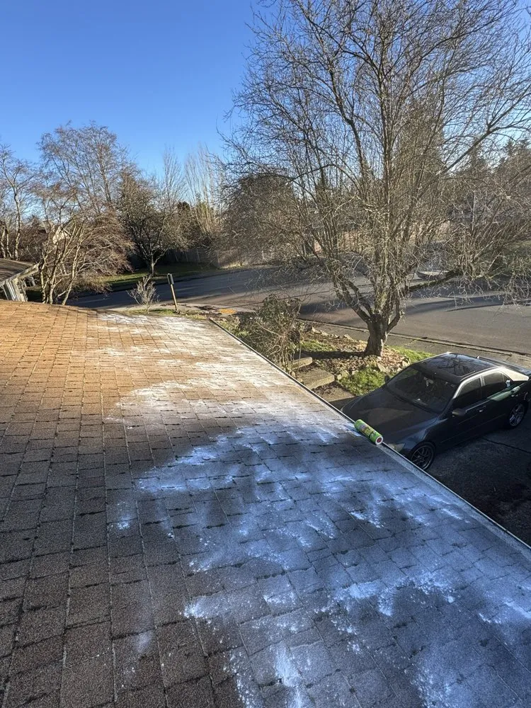 Slide of Alex Remodeling