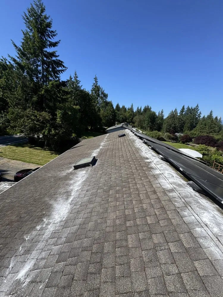 Slide of Alex Remodeling