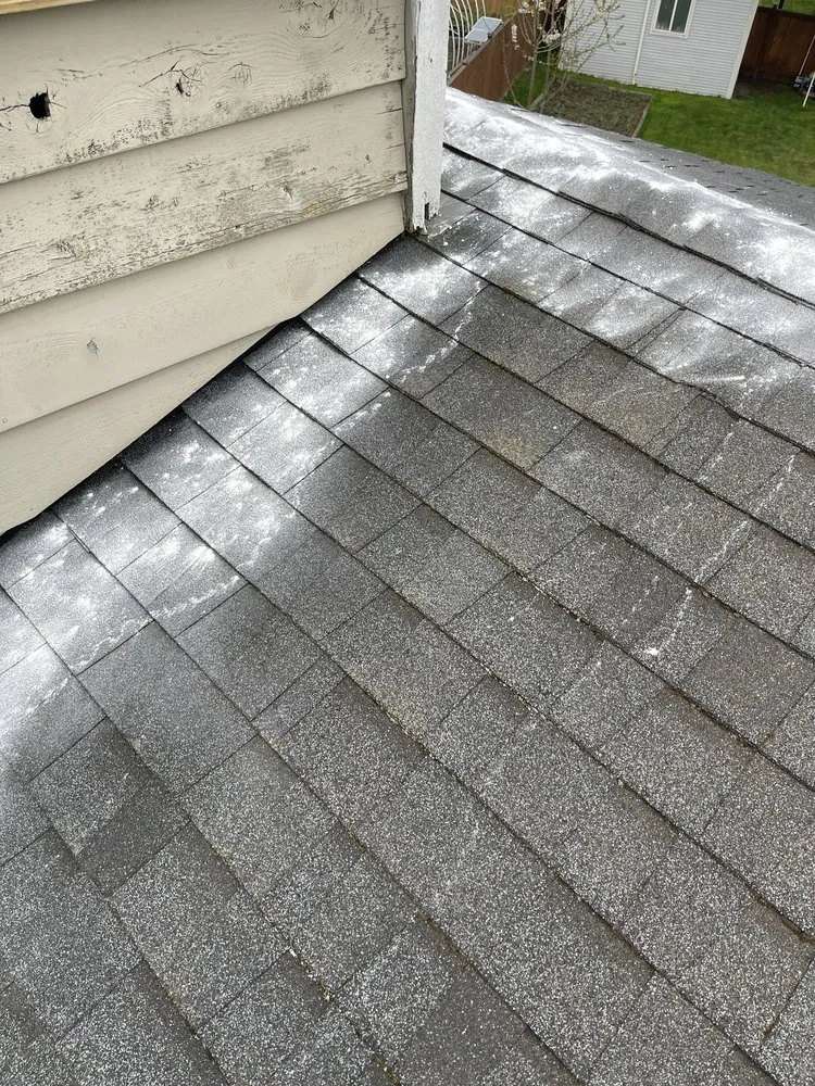 Slide of Alex Remodeling