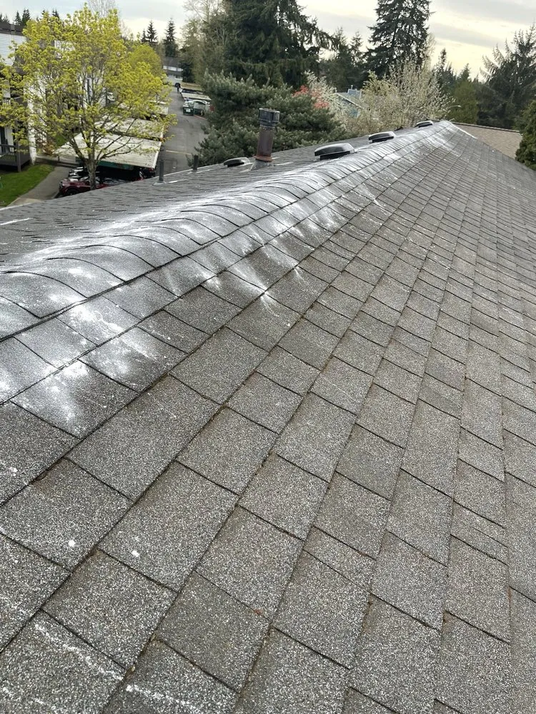 Slide of Alex Remodeling