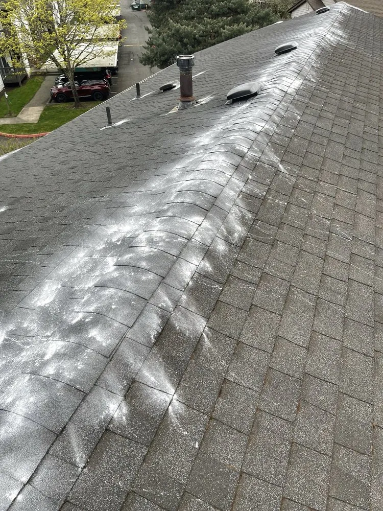 Slide of Alex Remodeling