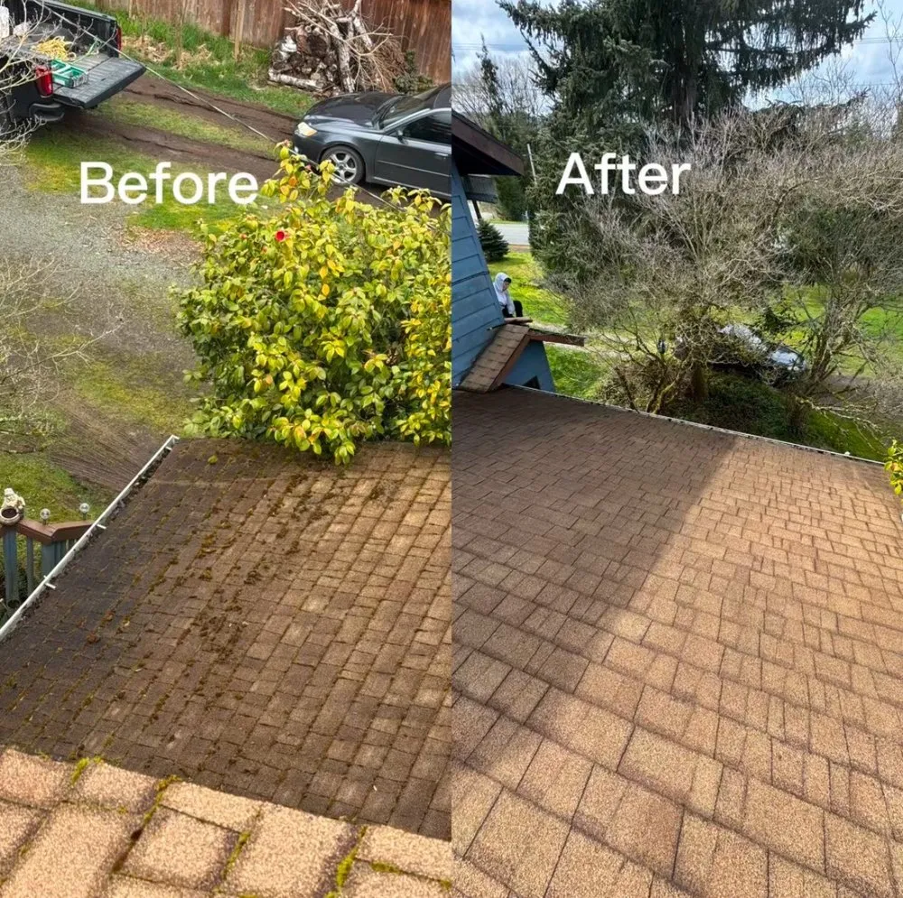 Slide of Alex Remodeling