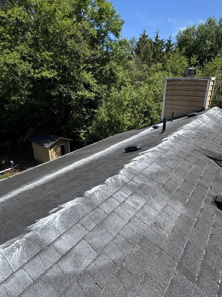 Slide of Alex Remodeling