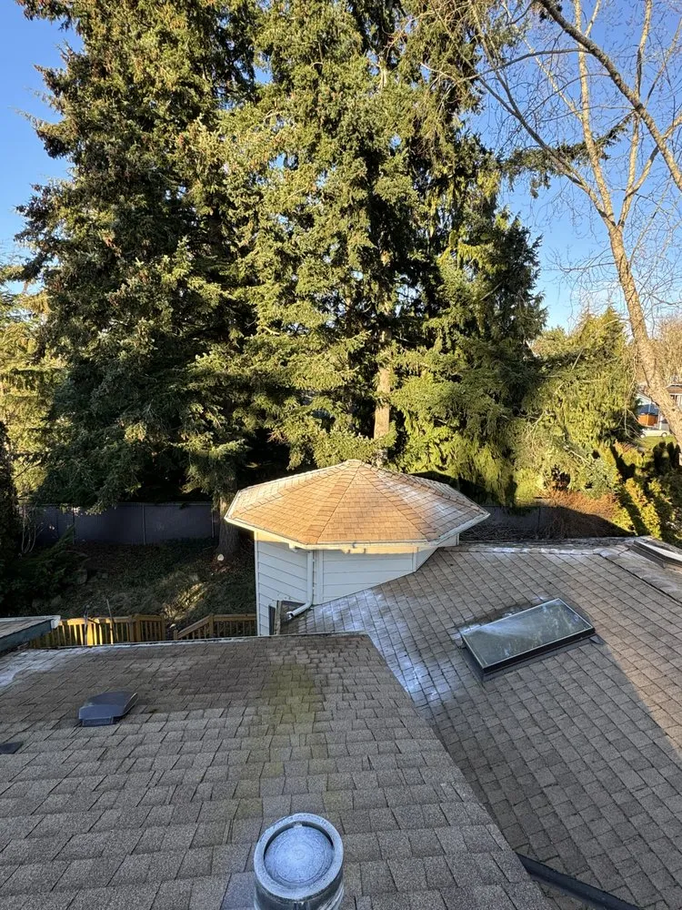 Slide of Alex Remodeling