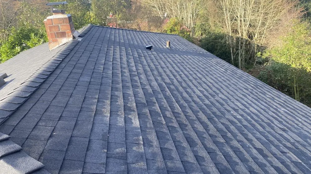 Slide of Alex Roofing Repair