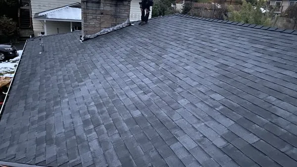 Alex Roofing Repair