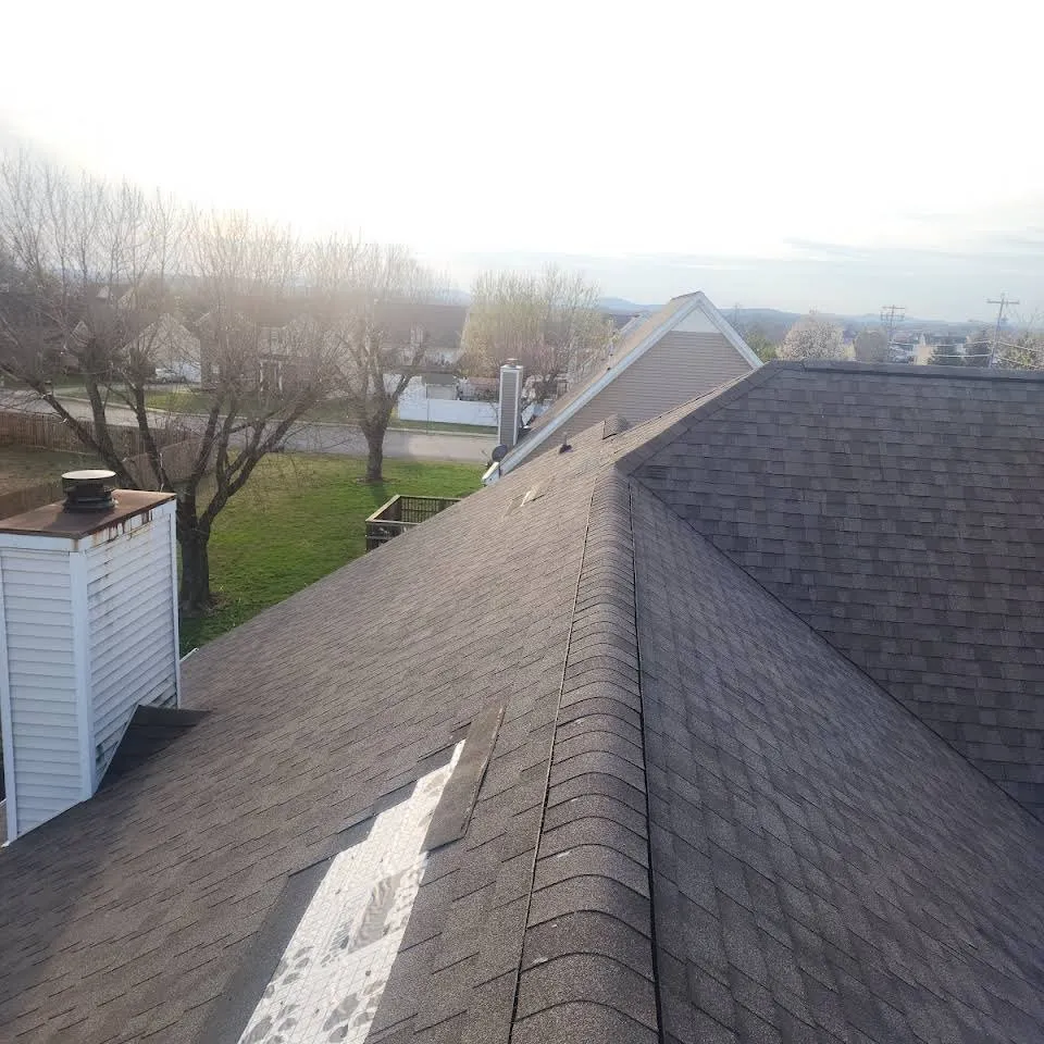 Slide of Alex The Roofer