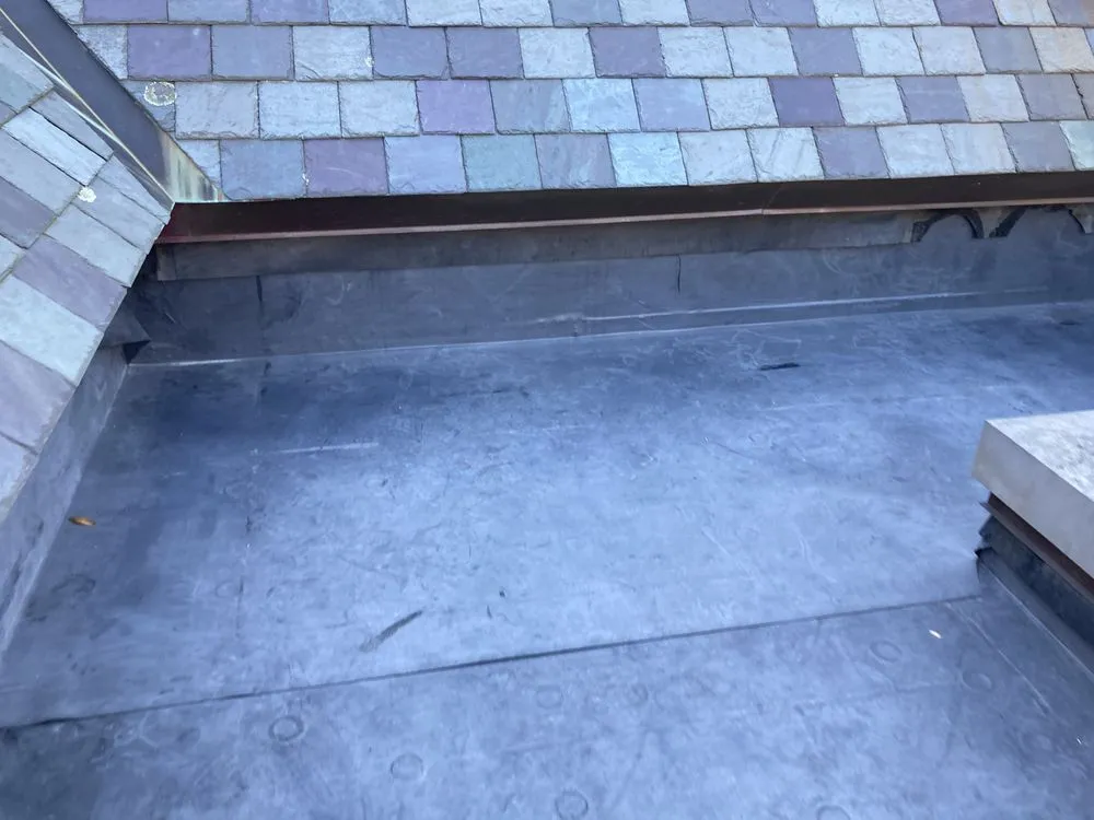 Slide of Alexander Doyle