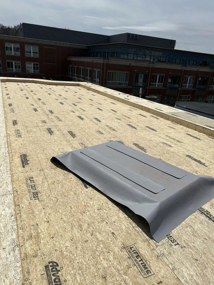 Slide of Alexander Doyle