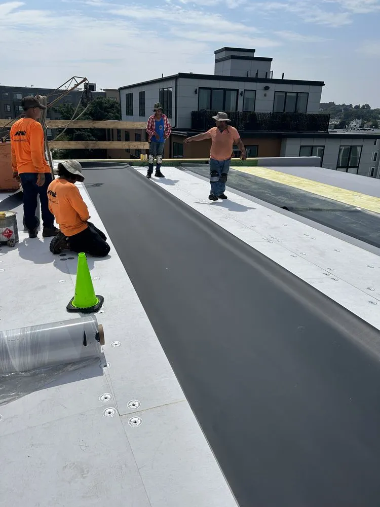 Slide of Alexander Doyle