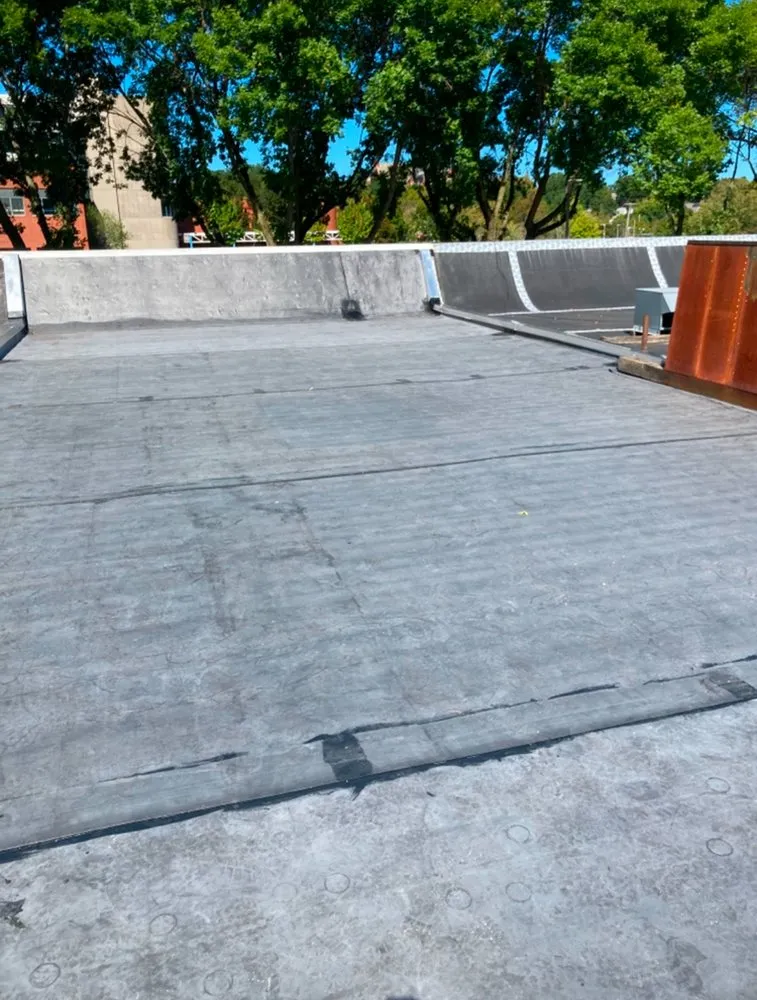 Slide of Alexander Doyle