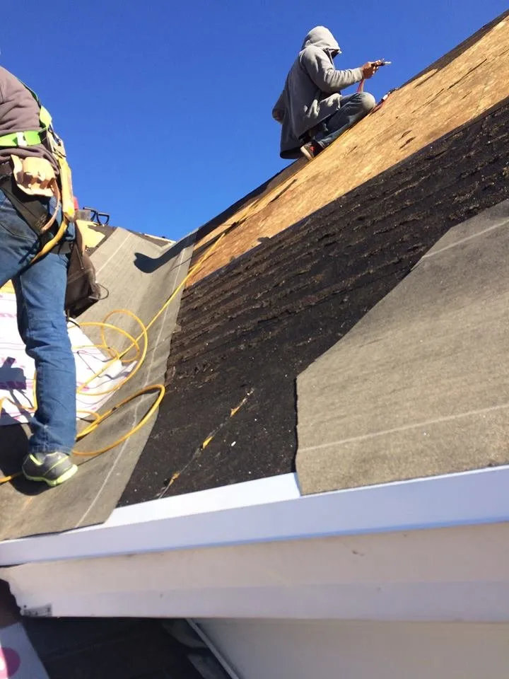 Slide of Alexander Exteriors