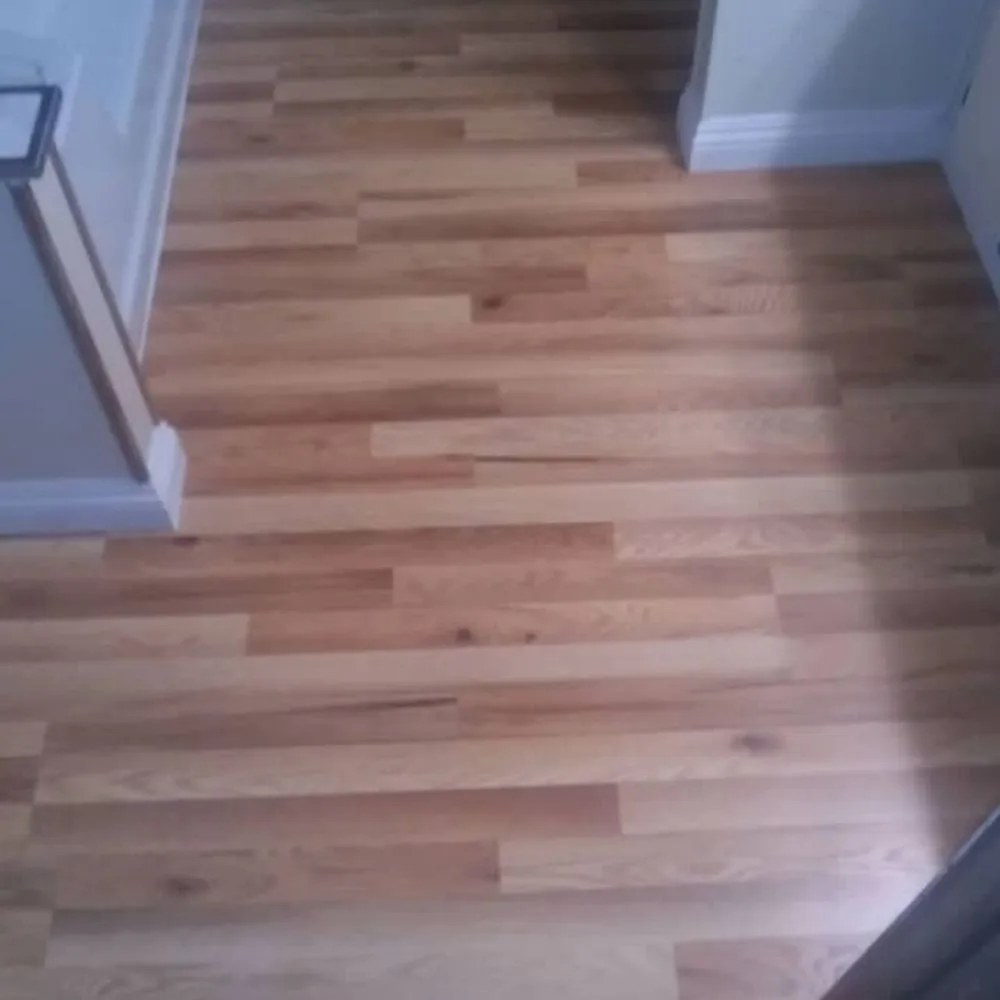 Slide of Alexander Gunderson