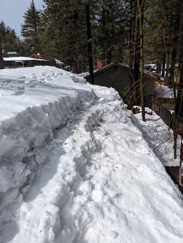 Slide of Alexander Gunderson