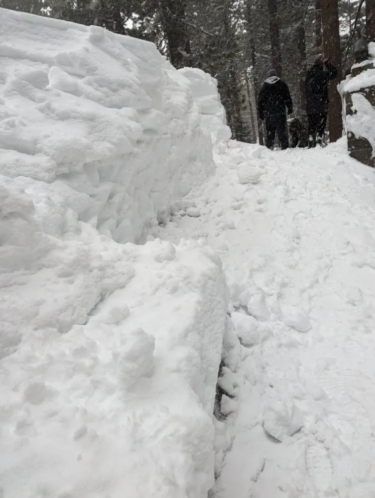 Slide of Alexander Gunderson