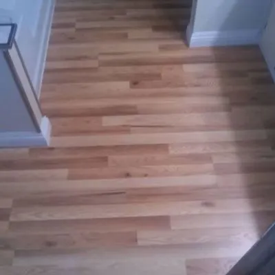 Alexander Gunderson Logo