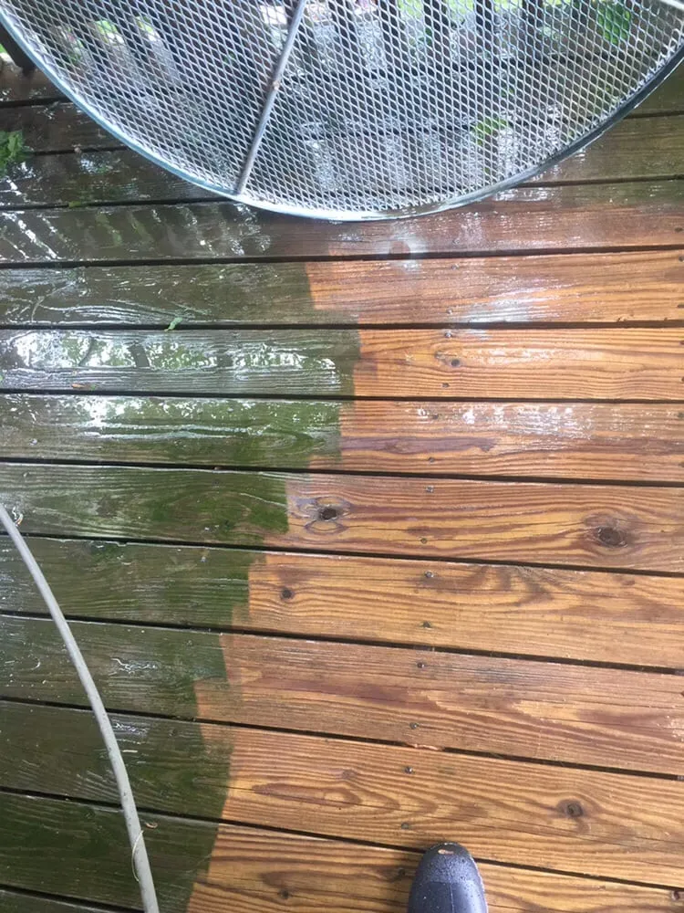 Slide of Alexander Townsley