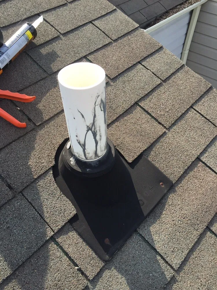 Slide of Alexander Townsley