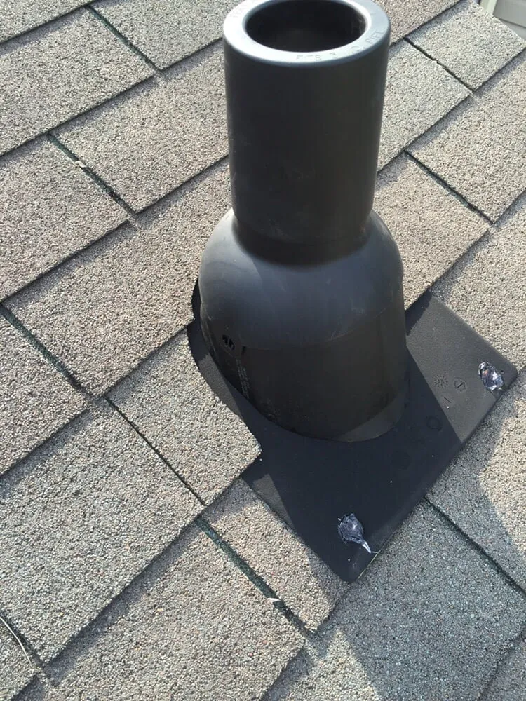 Slide of Alexander Townsley