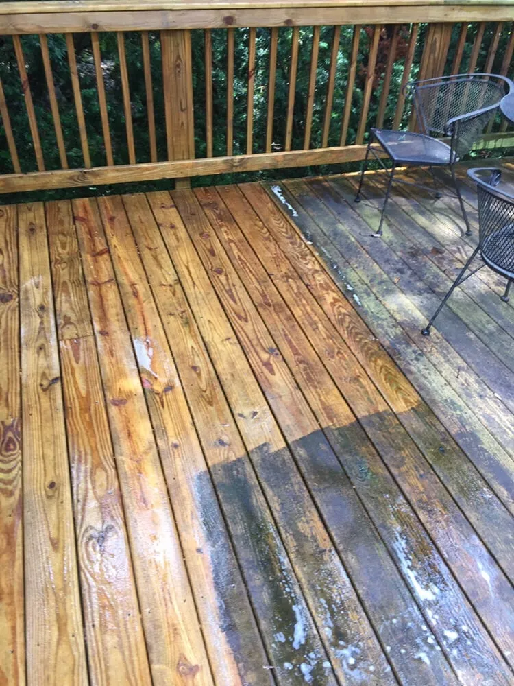 Slide of Alexander Townsley