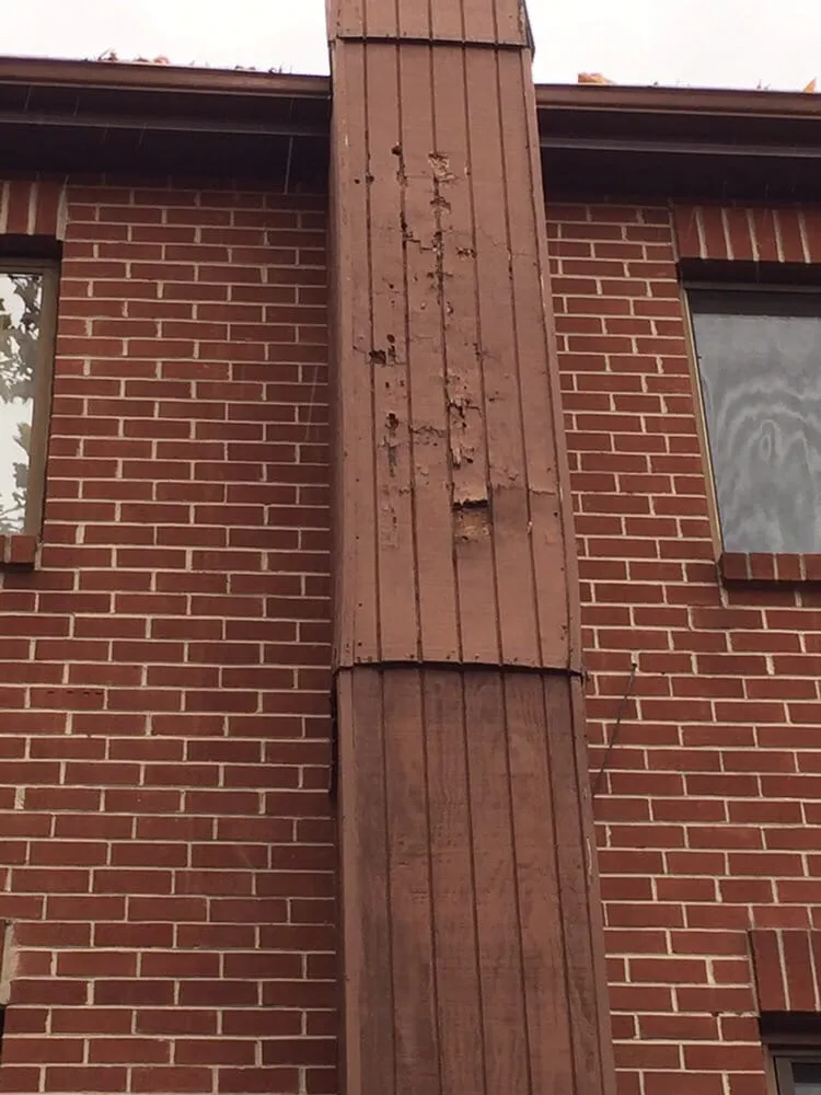 Slide of Alexander Townsley