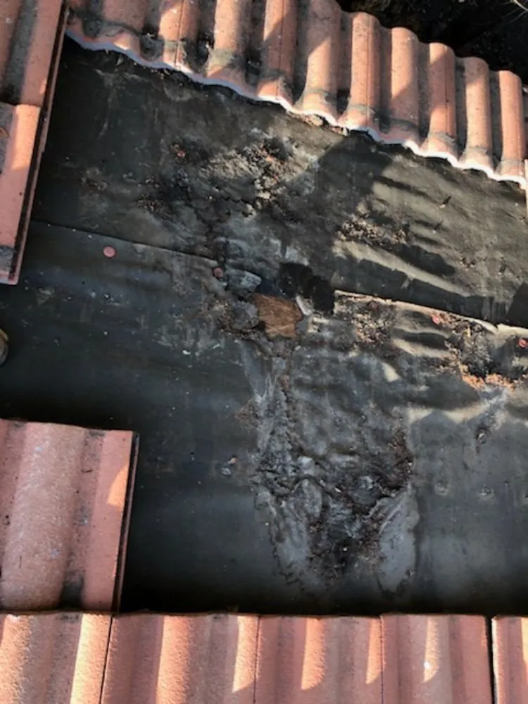 Slide of Alex's Hauling & Demo