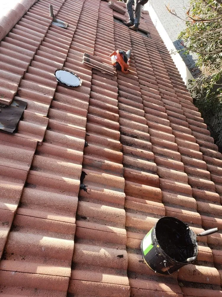 Slide of Alex's Hauling & Demo