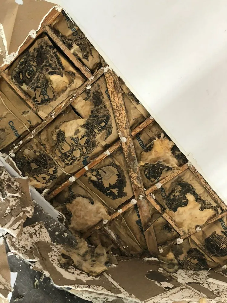 Emergency roof leak repair in New Caney, TX - Alfa Home Improvement